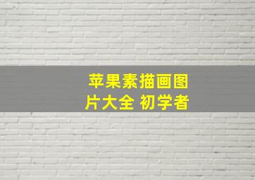 苹果素描画图片大全 初学者